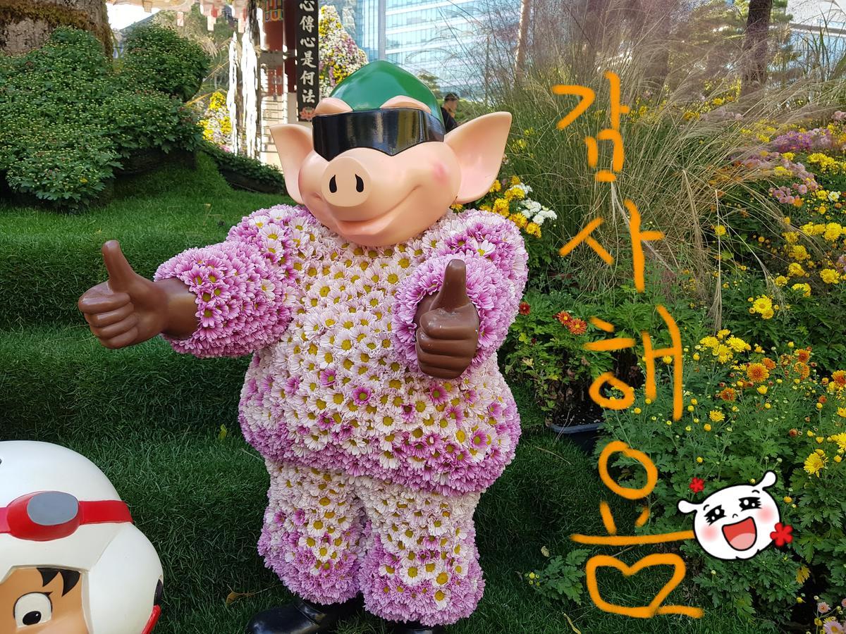 Homestay Eve Seoul Luaran gambar